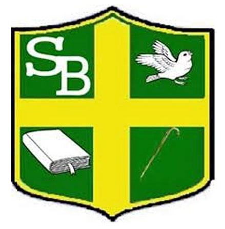 Logo Instituto San Buenaventura
